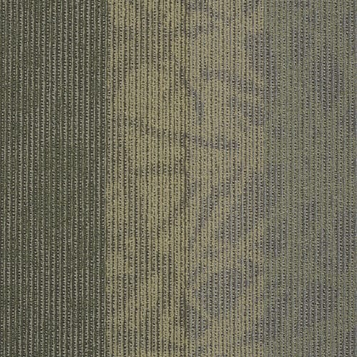 Static - Signal