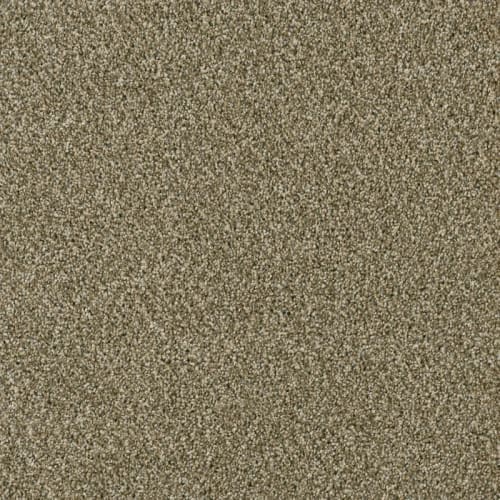 Acclaim - Sienna Sand