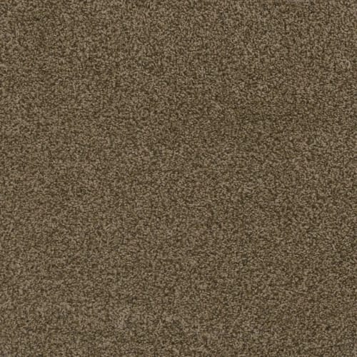 Hot Pursuit - Bronzite