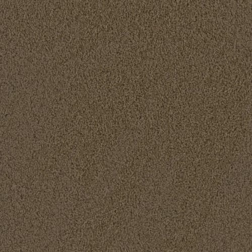 Tracker - Taupe