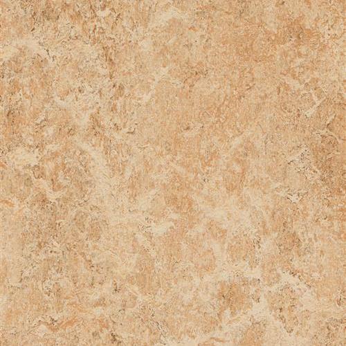 Marmoleum Real - Shell