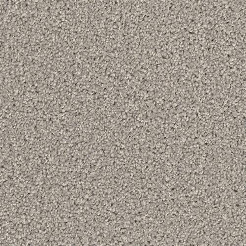 Airwaves - Silver Birch