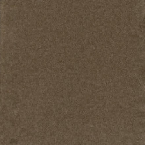 Broadcast Plus - Balsam