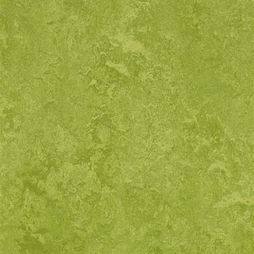 Marmoleum Fresco - Green
