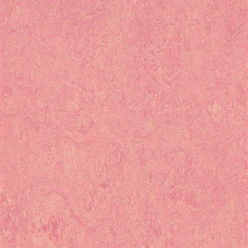 Marmoleum Real - Honey Suckle