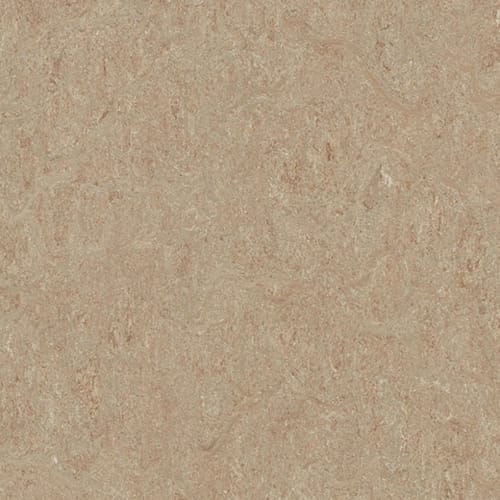 Marmoleum - Cinch Loc Seal - Weathered Sand