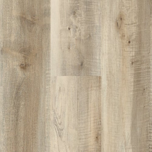 Groundwork 423 - Tavern Oak