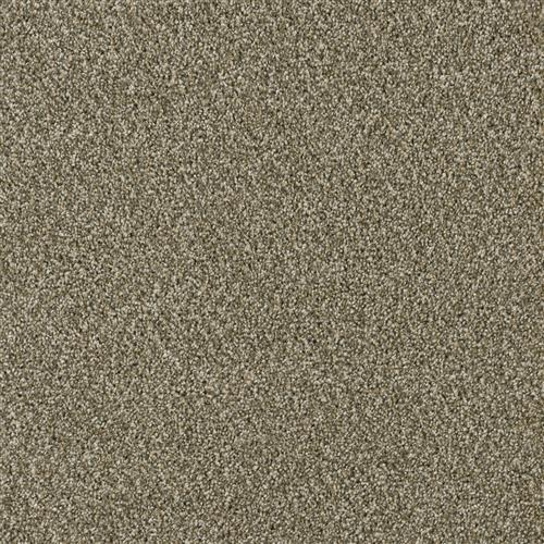 Yellowstone - Sienna Sand