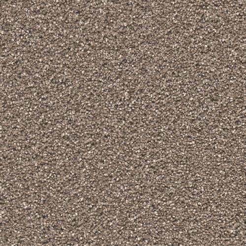Stunning - Peppercorn