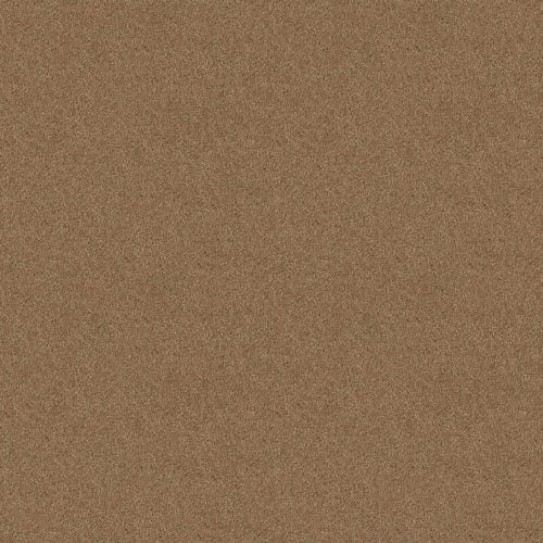 Full Court 12' - Golden Echoes