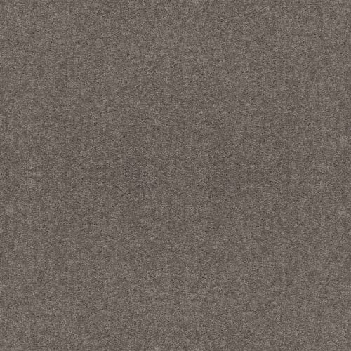 Full Court 12' - Ink Spot