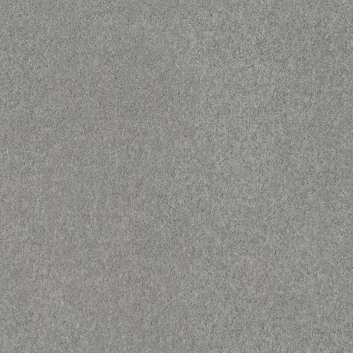 Full Court 12' - Silver Spoon