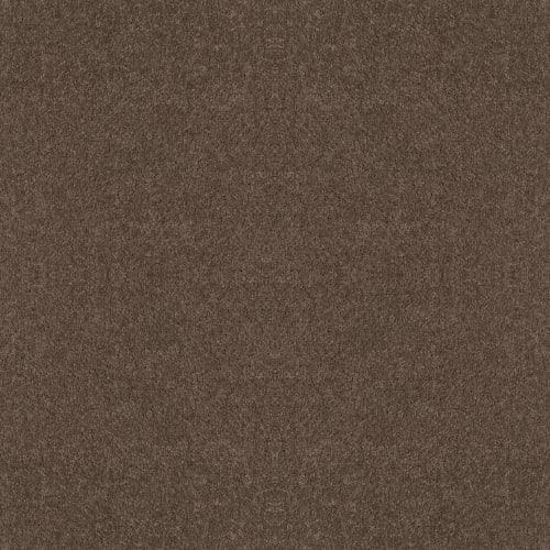 Full Court 12' - Molasses