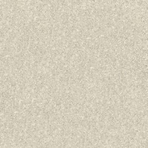 Essay Ii 12' - Crisp Linen