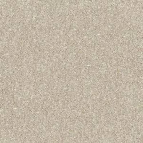 Essay Ii 12' - Sand Dollar