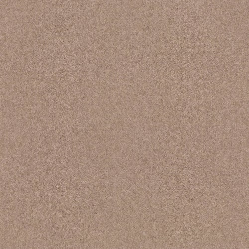 Essay Ii 12' - Moccasin