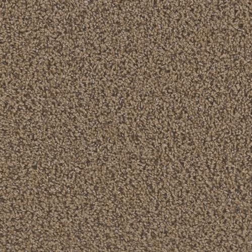 Toast Of The Town - Sandalwood