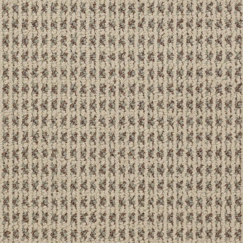 Modern Traditions - Camel