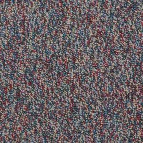 Franchise - Calypso