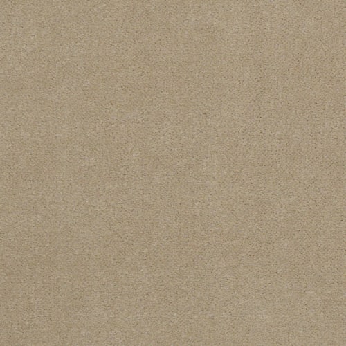 Emphatic Ii 36 - White Gold