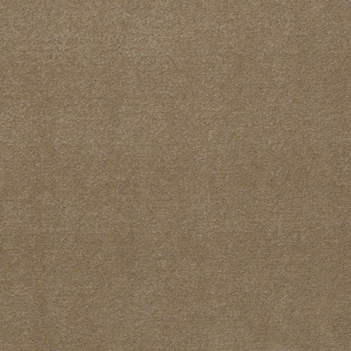 Emphatic Ii 36 - Canyon Dust