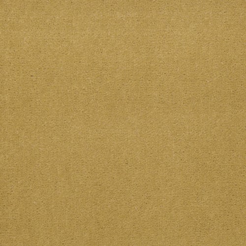 Emphatic Ii 36 - Sunflower