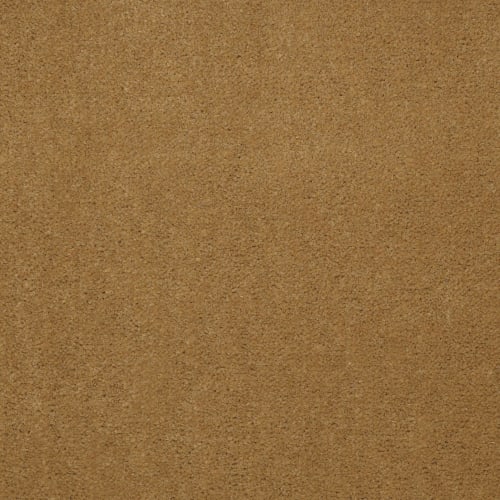 Emphatic Ii 36 - Gold Coast