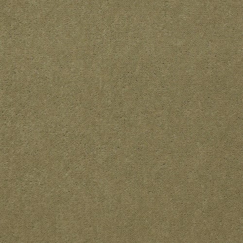 Emphatic Ii 36 - Tea Green