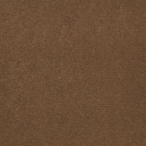 Emphatic Ii 36 - Camelback