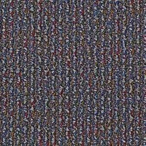 Speak Out - Converse