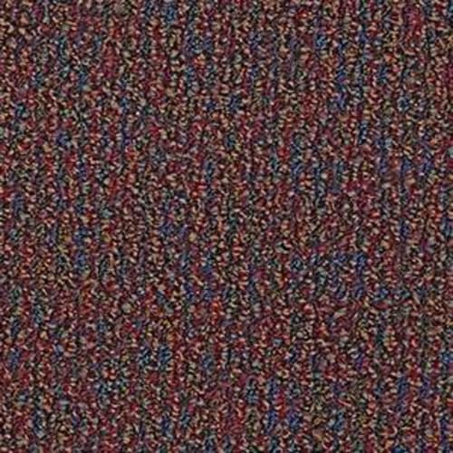 Speak Out - Admit