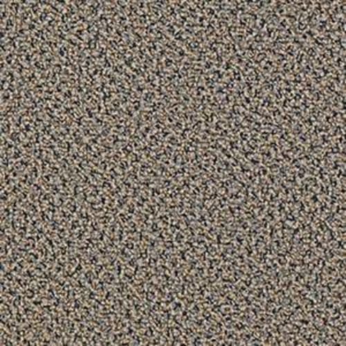 Speak Easy - Soft Approach