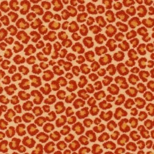 Cheetah - Big Cat