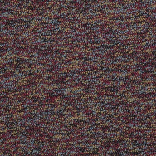 Franchise Ii 28 - Salsa