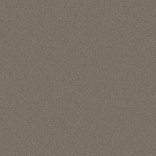 Color Accents - Light Taupe
