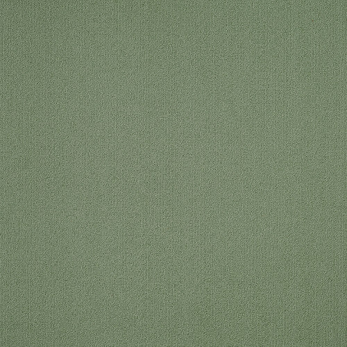 Color Accents - Foliage