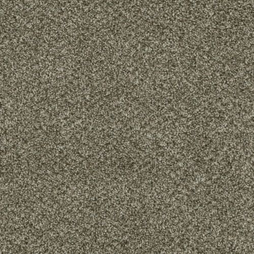 Brazen I - Olivewood