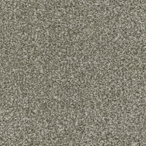 Brazen I - Clove