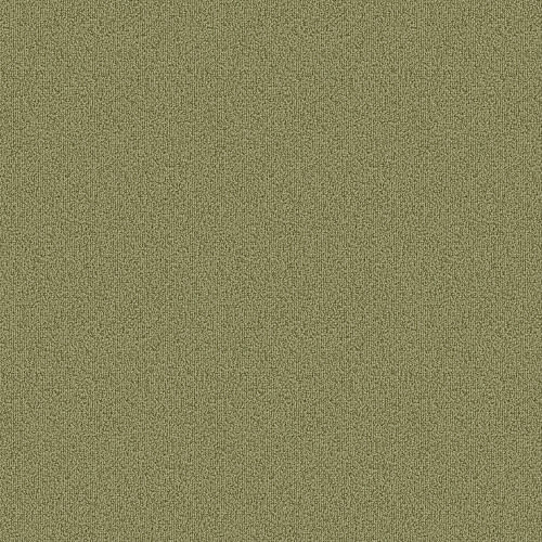 Color Accents - Fescue