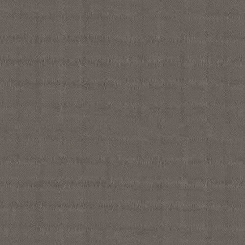 Color Accents - Dolphin