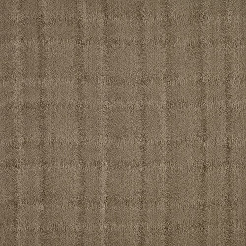 Color Accents - Portabella