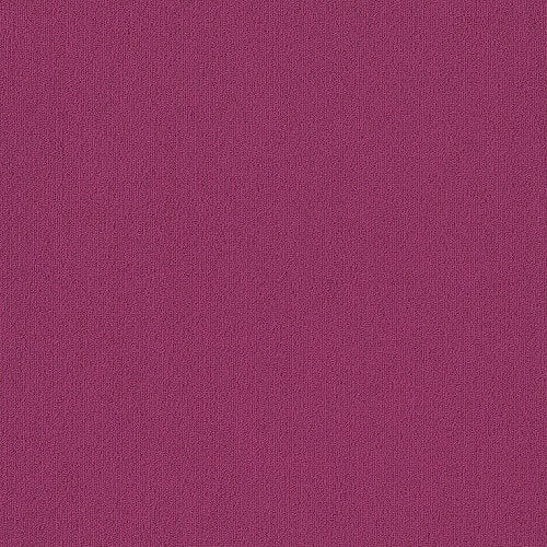 Color Accents - Calypso
