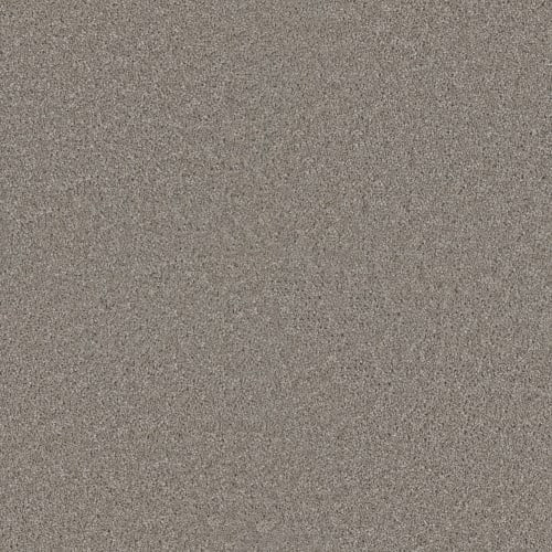 Exceptional Ii - Clam Shell