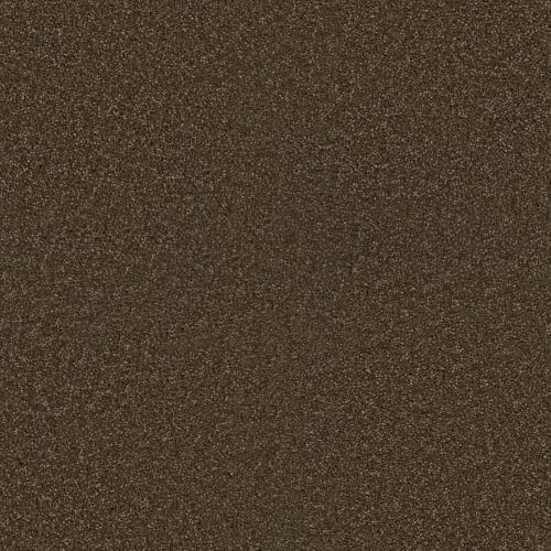 Exceptional Ii - Black Walnut