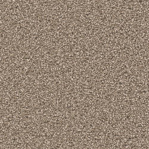 Exceptional Ii - Dove