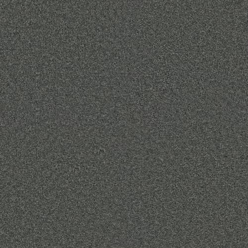 Exceptional Ii - Steel Grey