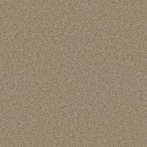 Exceptional Ii - Cashmere