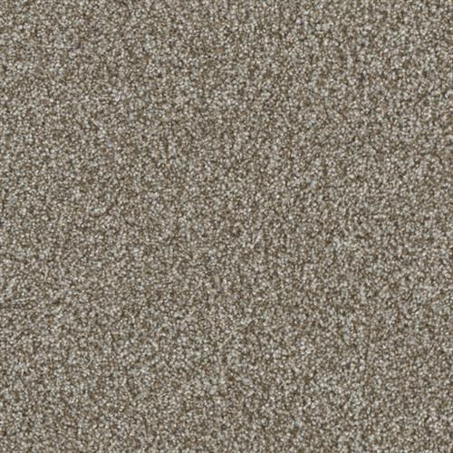 Jackson Hole I - Gravel