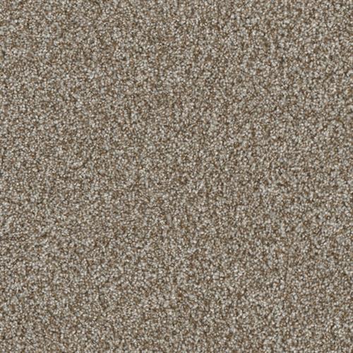 Jackson Hole Ii - Gravel