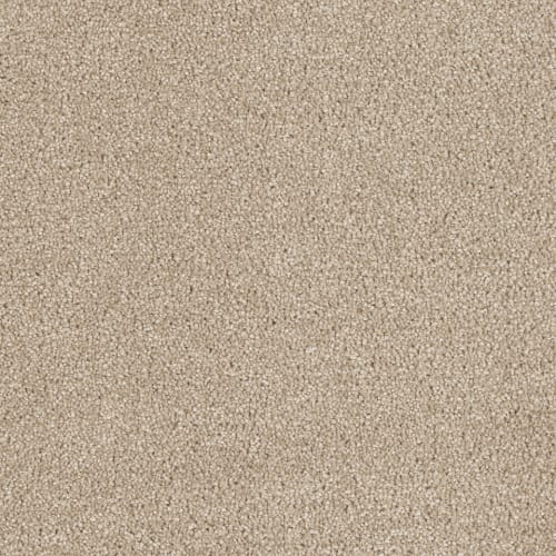 Hollywood - Cashmere